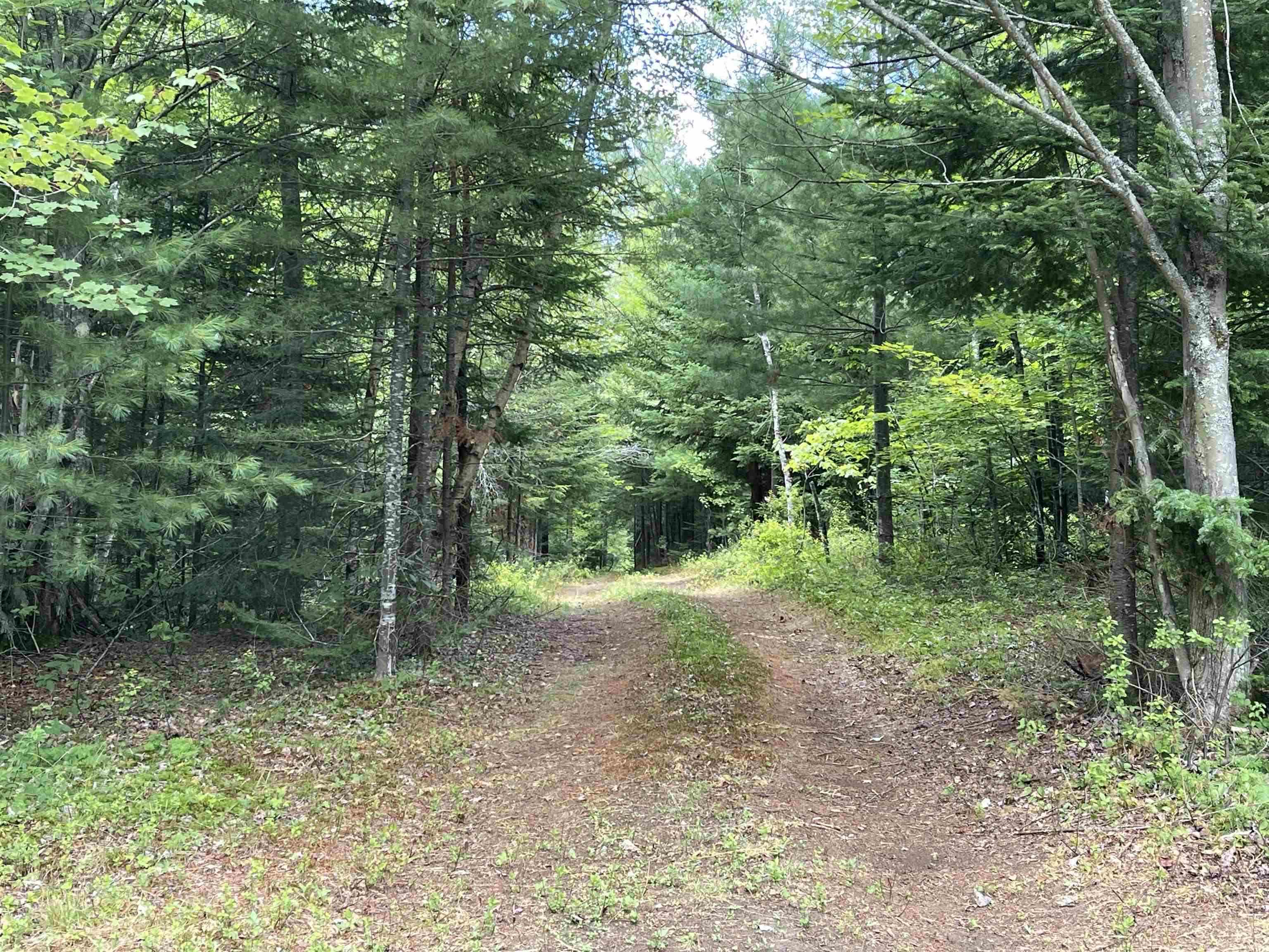 0 Ralph Road Brookfield, VT 05036 - Photo 3 of 14