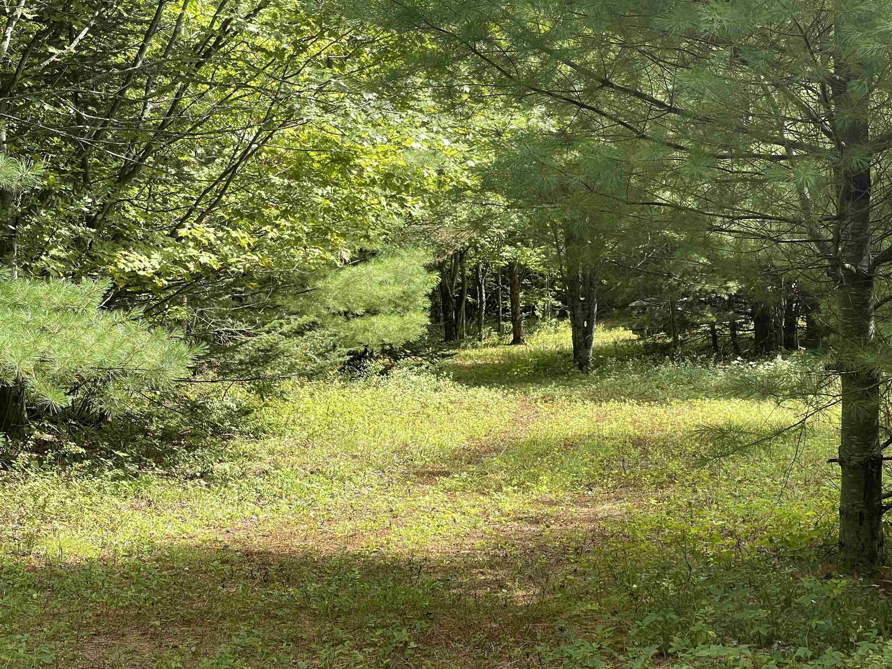 0 Ralph Road Brookfield, VT 05036 - Photo 4 of 14