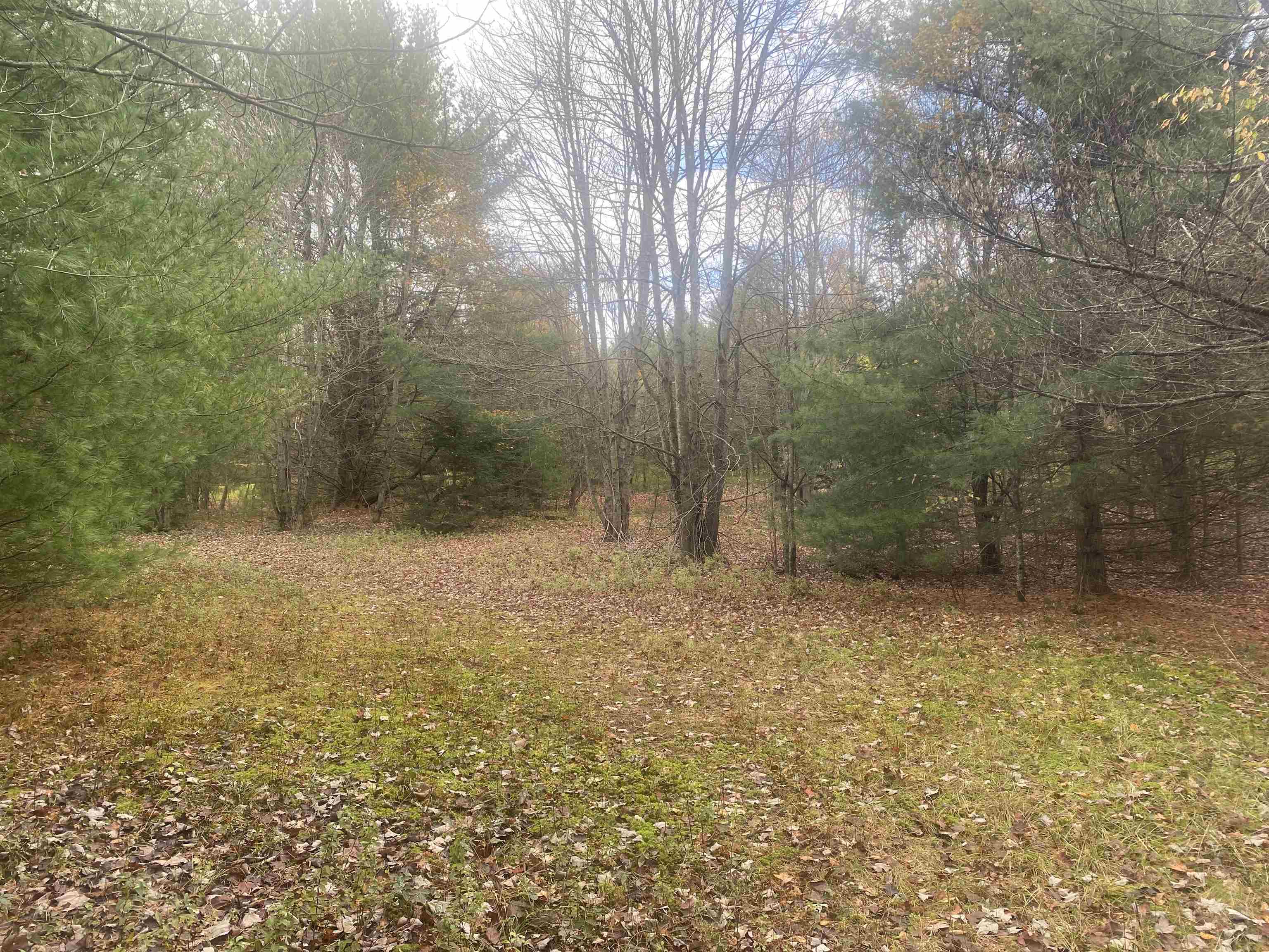 0 Ralph Road Brookfield, VT 05036 - Photo 7 of 14