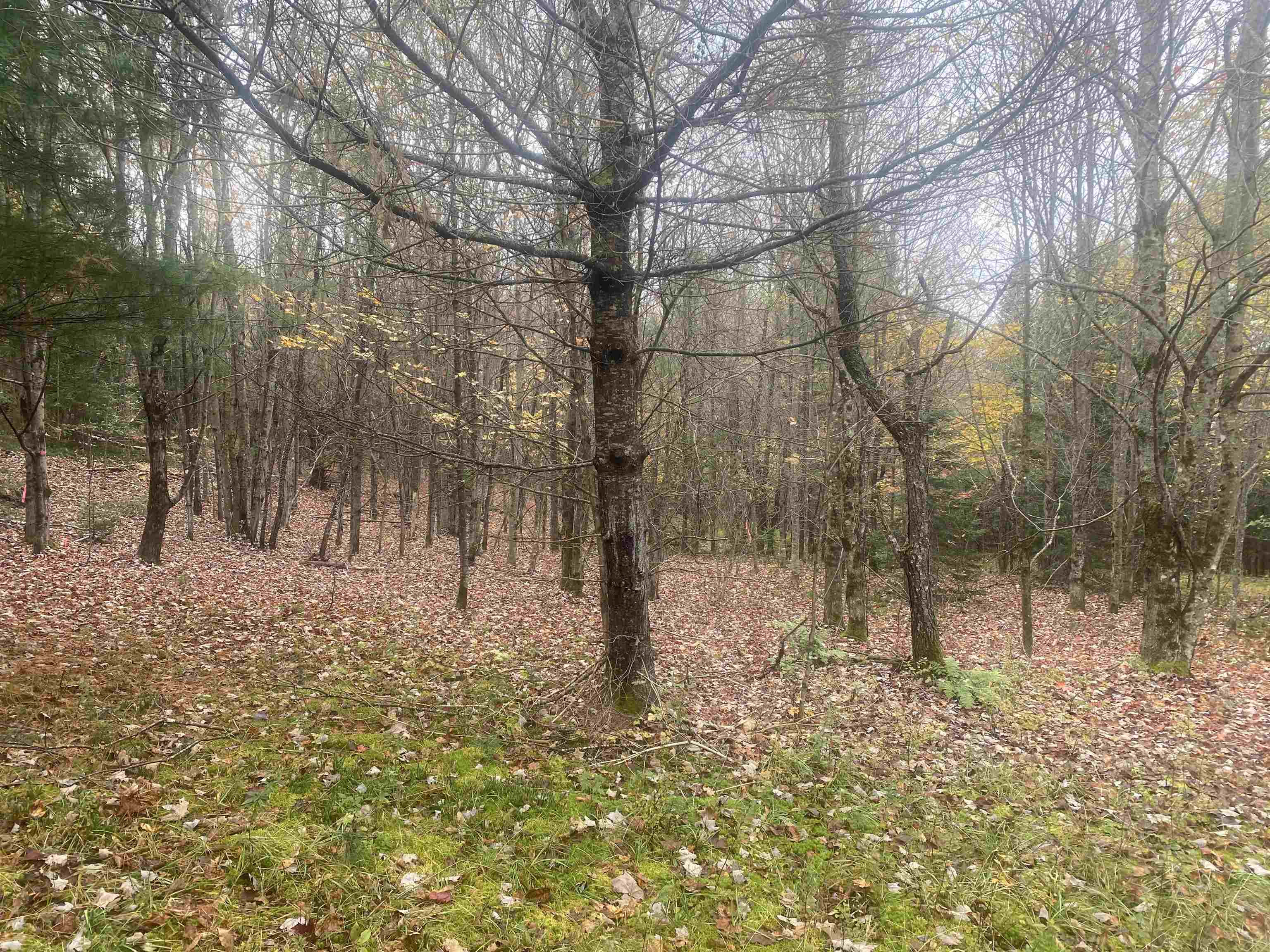 0 Ralph Road Brookfield, VT 05036 - Photo 8 of 14