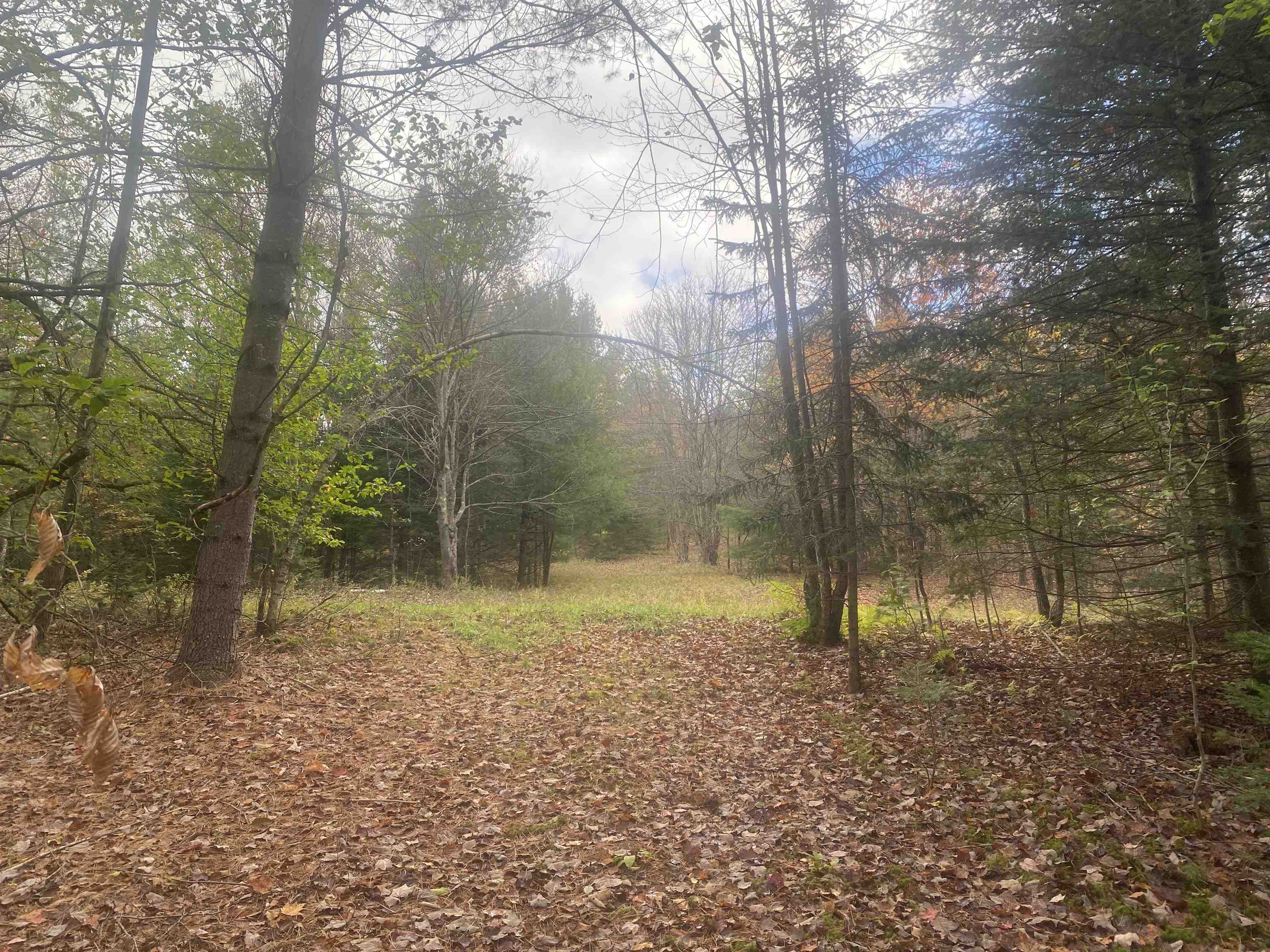 0 Ralph Road Brookfield, VT 05036 - Photo 9 of 14