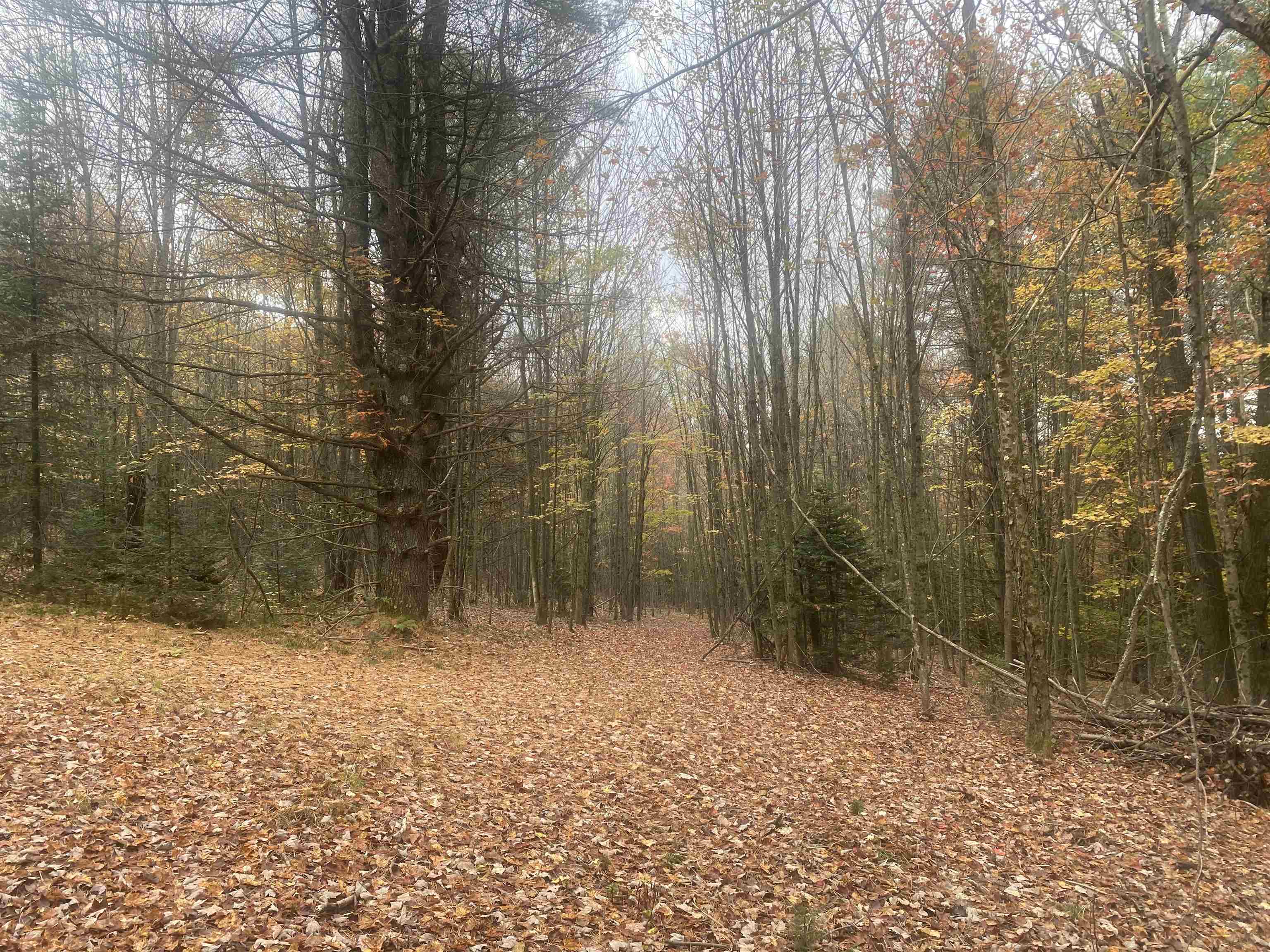 0 Ralph Road Brookfield, VT 05036 - Photo 10 of 14