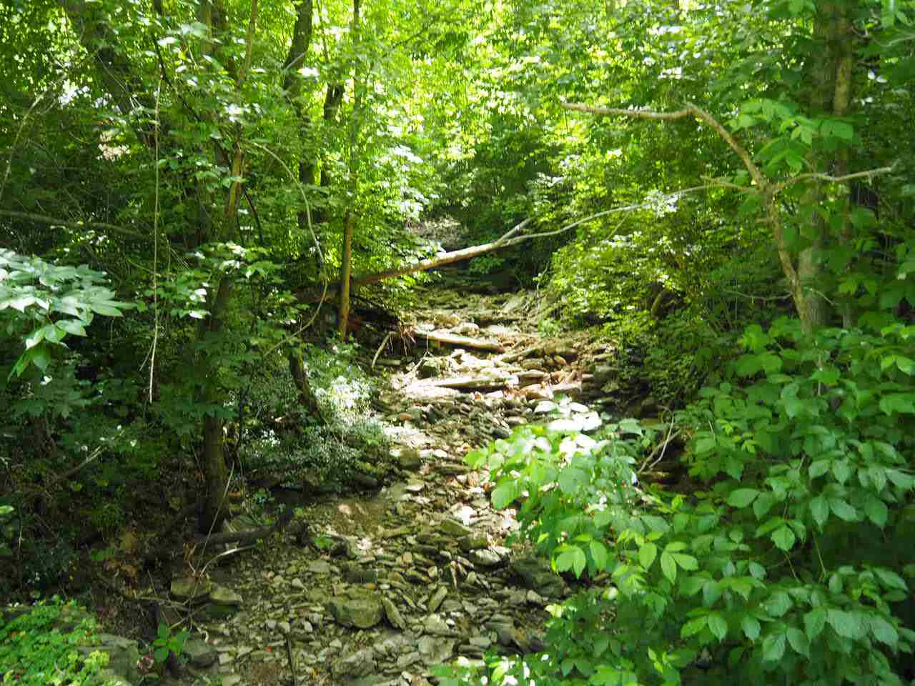 451 Rifle Range Road Alexandria, KY 41001 - Photo 10 of 29 Gallery Image 10