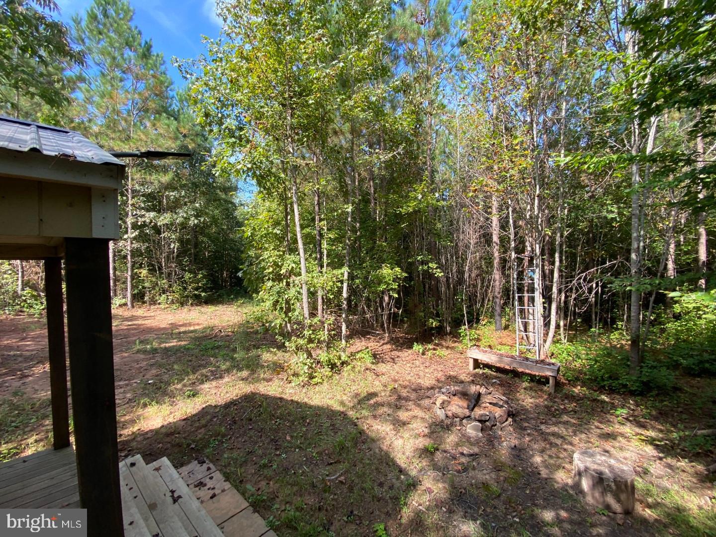 684 Squirrel Hollow Road Alberta, VA 23821 - Photo 22 of 43 Serene woodland retreat awaits your exploration.