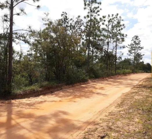 a view of a yard with a tree