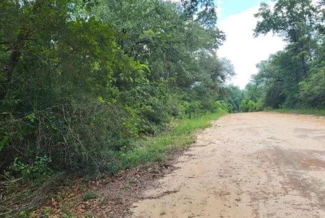 a view of a dirt road with trees in the background