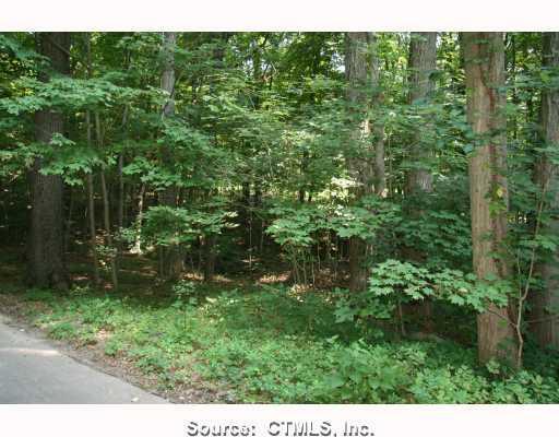 0 Rockland Road Guilford, CT 06437 - Photo 1 of 1 a view of a lush green forest