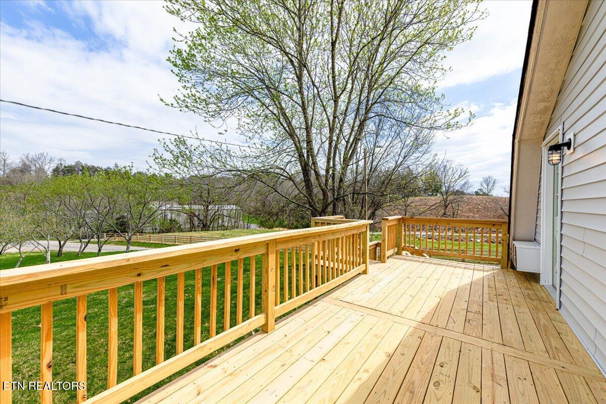 186 Shetland Road La Follette, TN 37766 - Photo 50 of 60 48C-Q5A9579-Edit