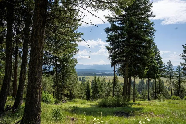 $827,250 | 5611 Appaloosa Trail, Unit 93, McCall, ID 83638