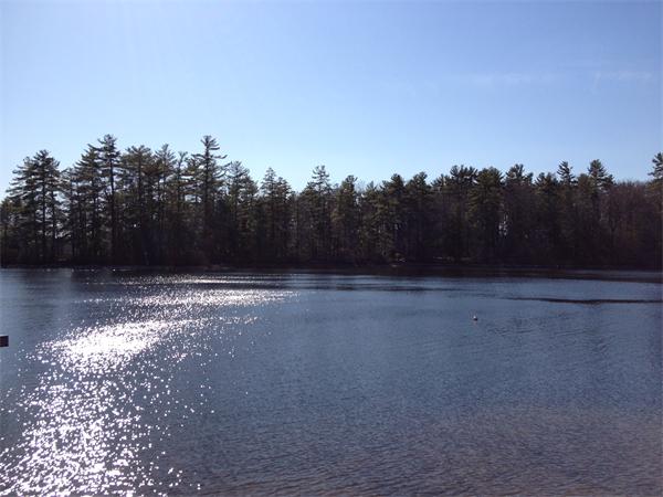 7 Ledge Road Atkinson, NH 03811 - Photo 20 of 26 Gallery Image 20