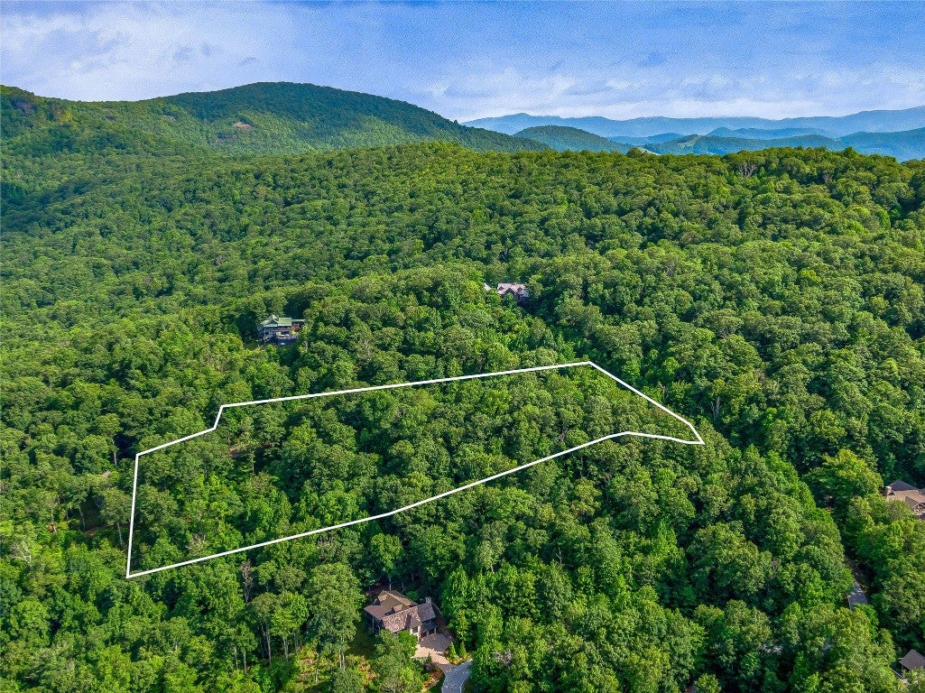 Lot 22 Panther Ridge Road Lake Toxaway, NC 28747 - Photo 9 of 28 Gallery Image 9