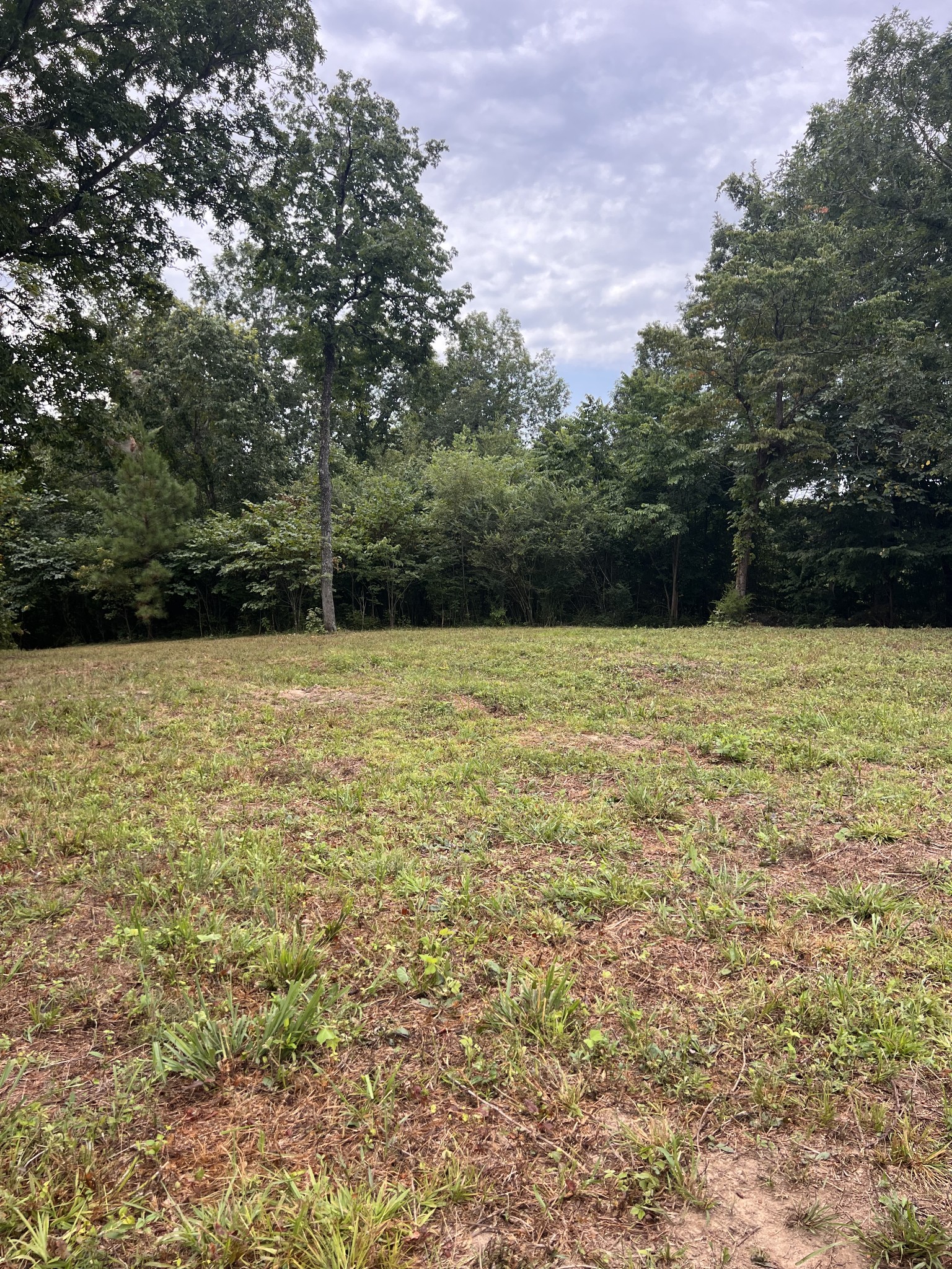 0 High Rise Drive Lyles, TN 37098 - Photo 1 of 19 a view of outdoor space with swimming pool and green space