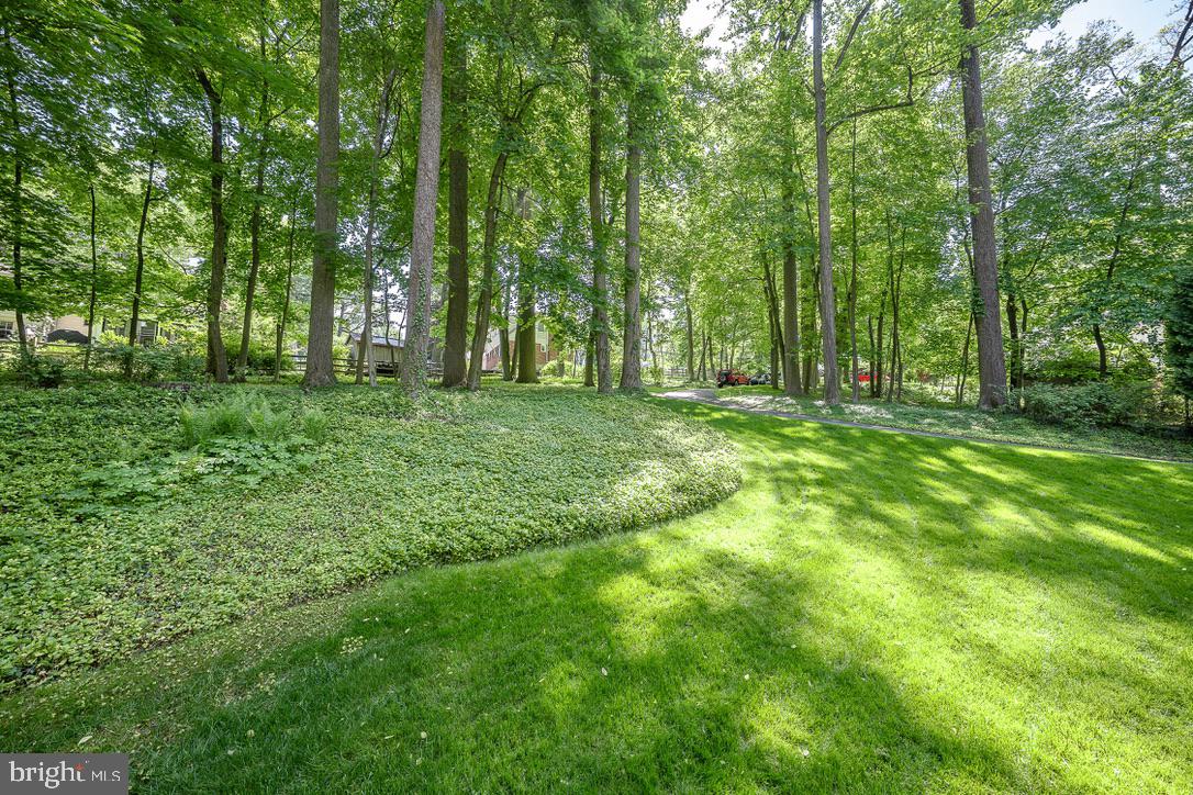 573 West Valley Road Wayne, PA 19087 - Photo 52 of 55