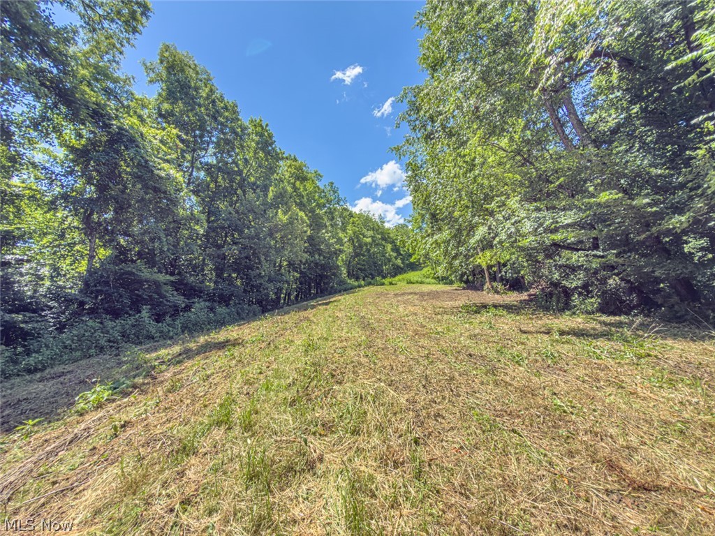 6985 Brush Run Road Cambridge, OH 43725 - Photo 50 of 50