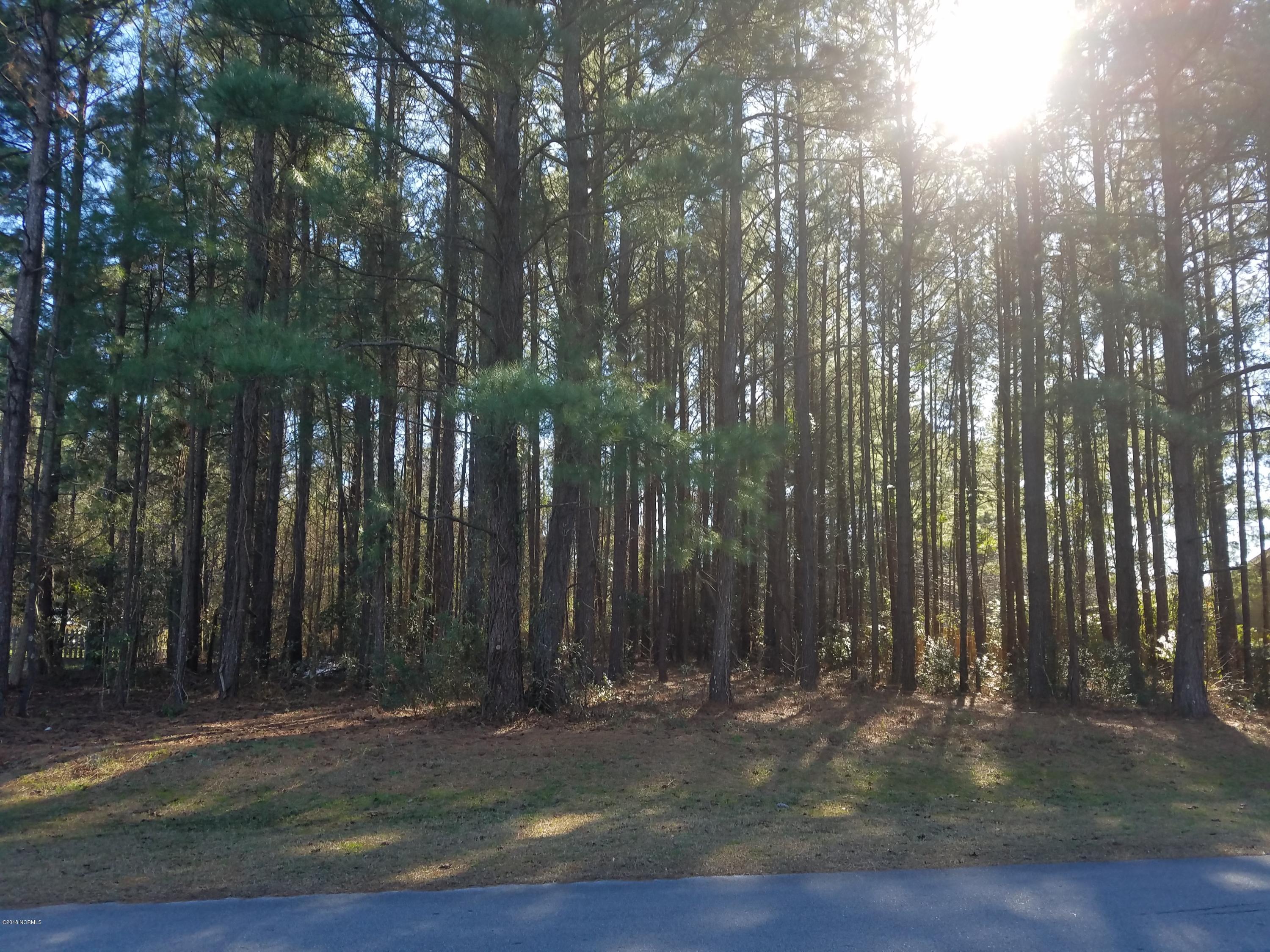 122 R Winding Creek Road Rocky Point, NC 28457 - Photo 4 of 19 Lot 122R 1-20-18