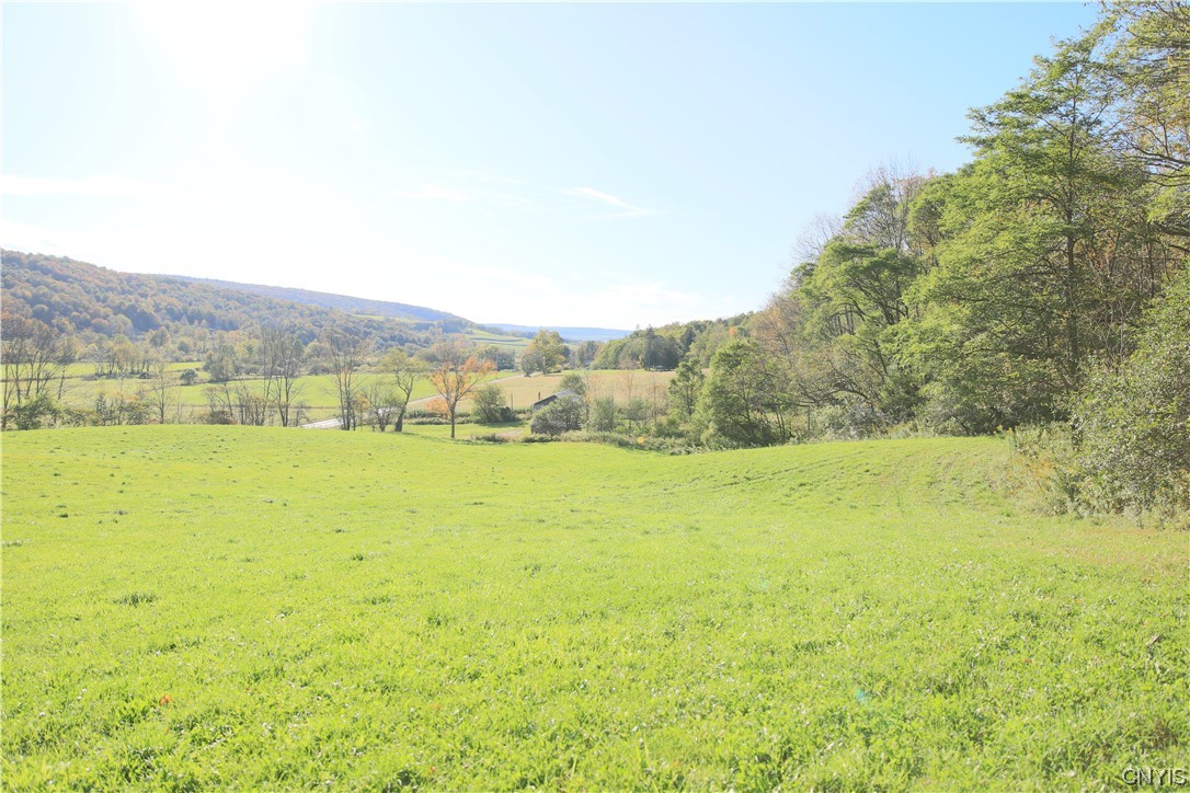 L111 Crumb Hill Road De Ruyter, NY 13052 - Photo 5 of 10