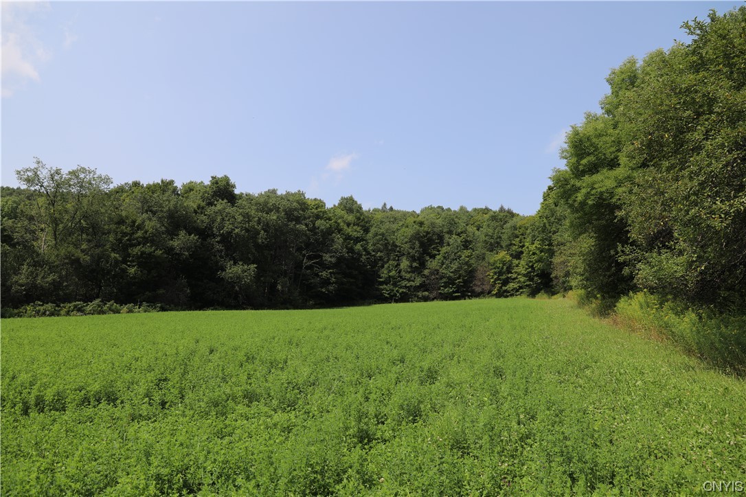 L111 Crumb Hill Road De Ruyter, NY 13052 - Photo 6 of 10