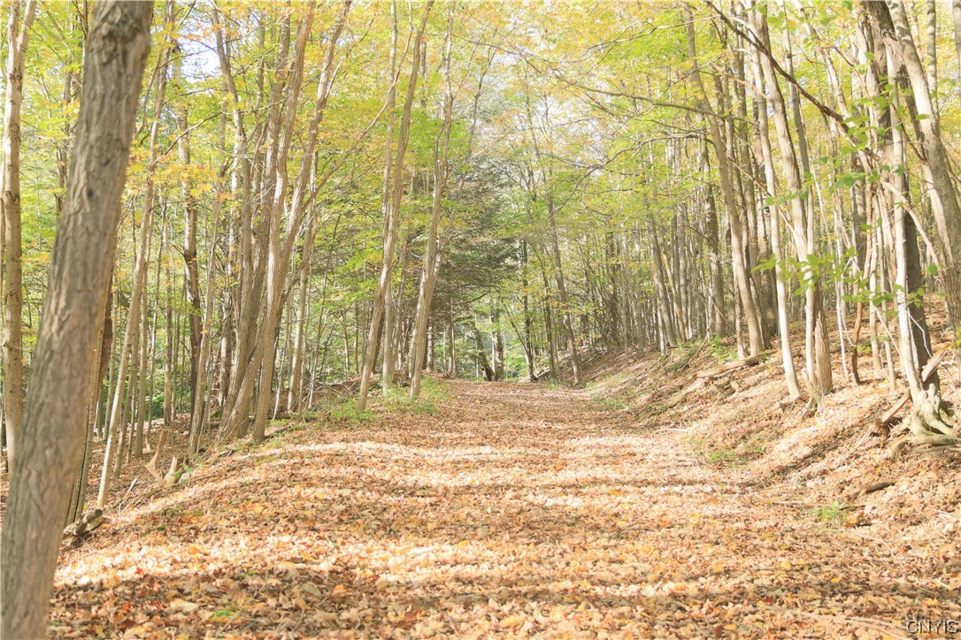 L111 Crumb Hill Road De Ruyter, NY 13052 - Photo 7 of 10