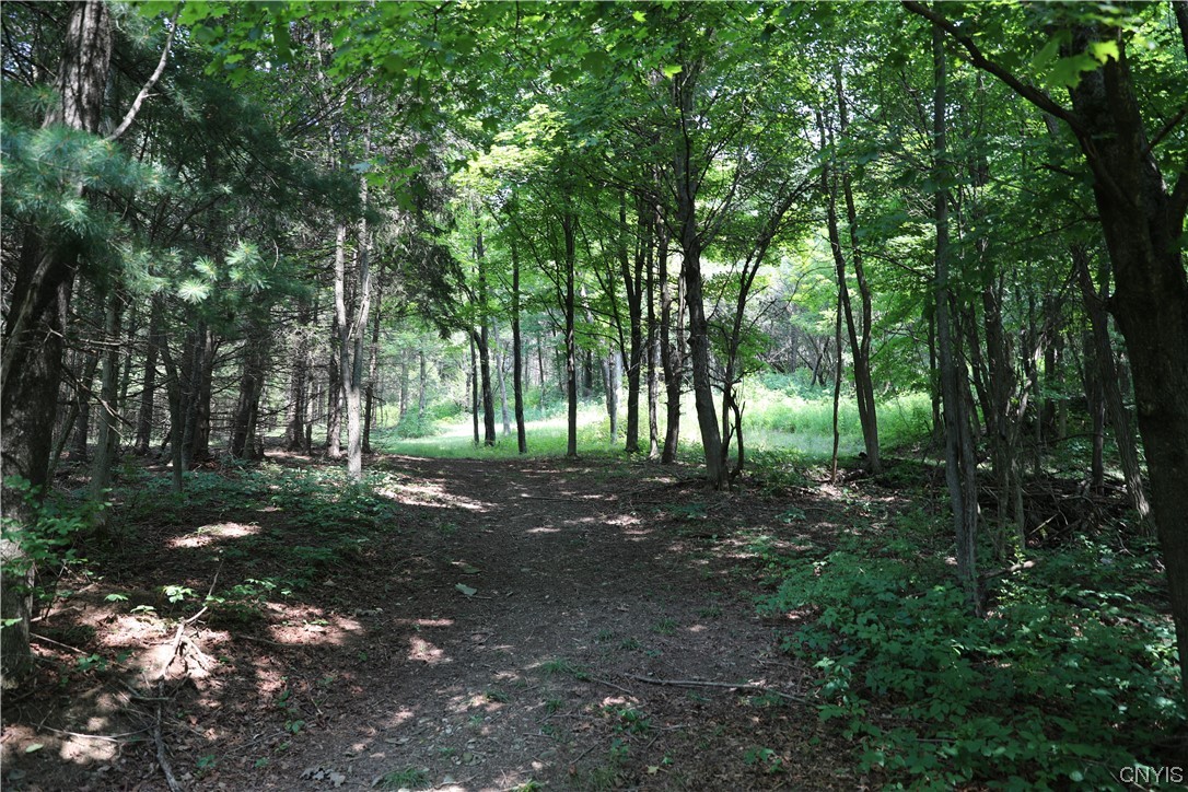 L111 Crumb Hill Road De Ruyter, NY 13052 - Photo 9 of 10