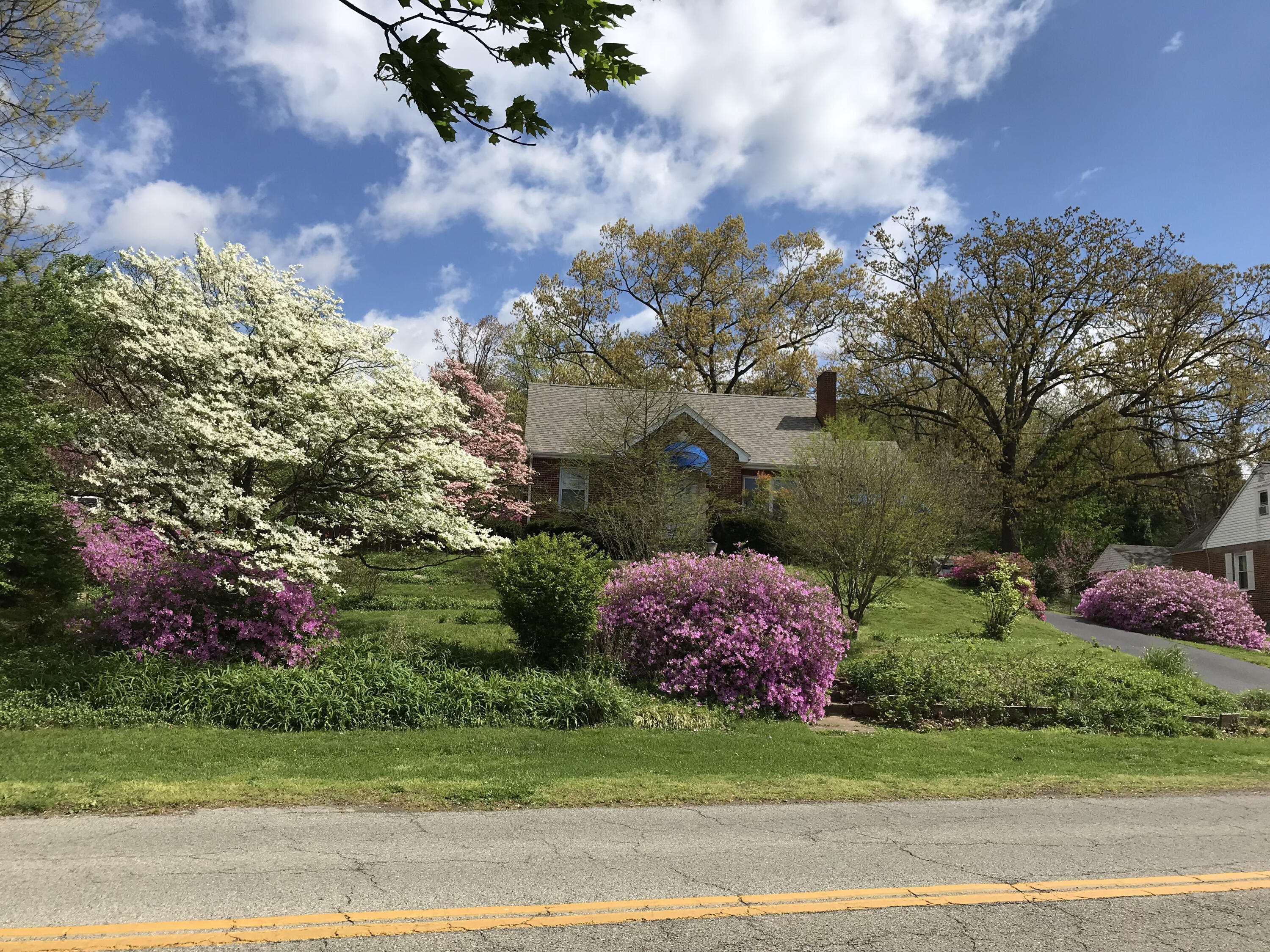 3108 Spring Road Southwest Roanoke, VA 24015 - Photo 29 of 40 IMG_0601