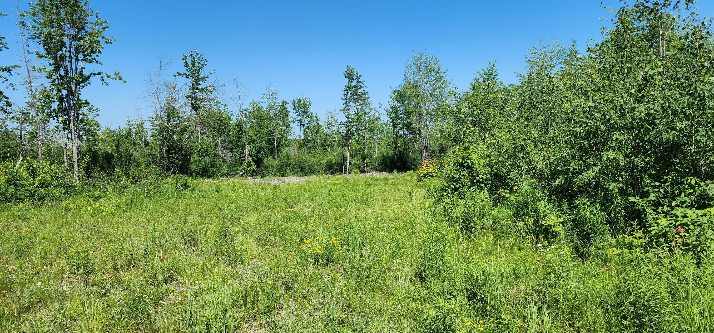 6 Off Hemore Road Houlton, ME 04730 - Photo 1 of 12 20230623_142432