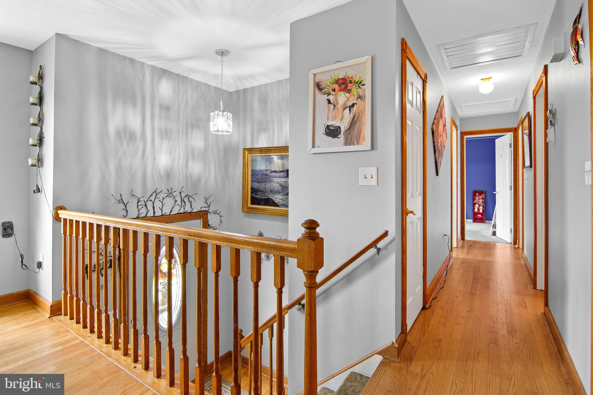 193 Hitching Post Drive Rising Sun, MD 21911 - Photo 7 of 43 Main Level Hall
