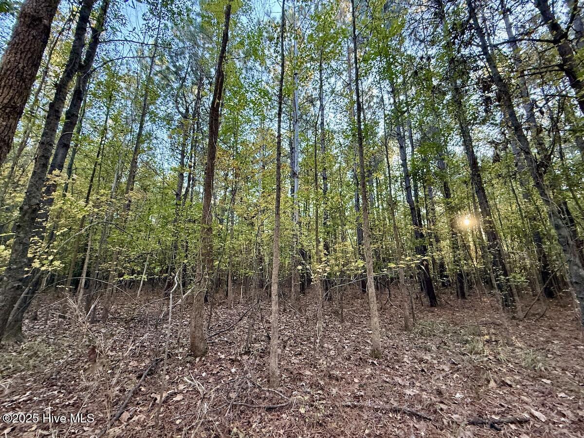 247 Quitsna Road Windsor, NC 27983 - Photo 13 of 30 13