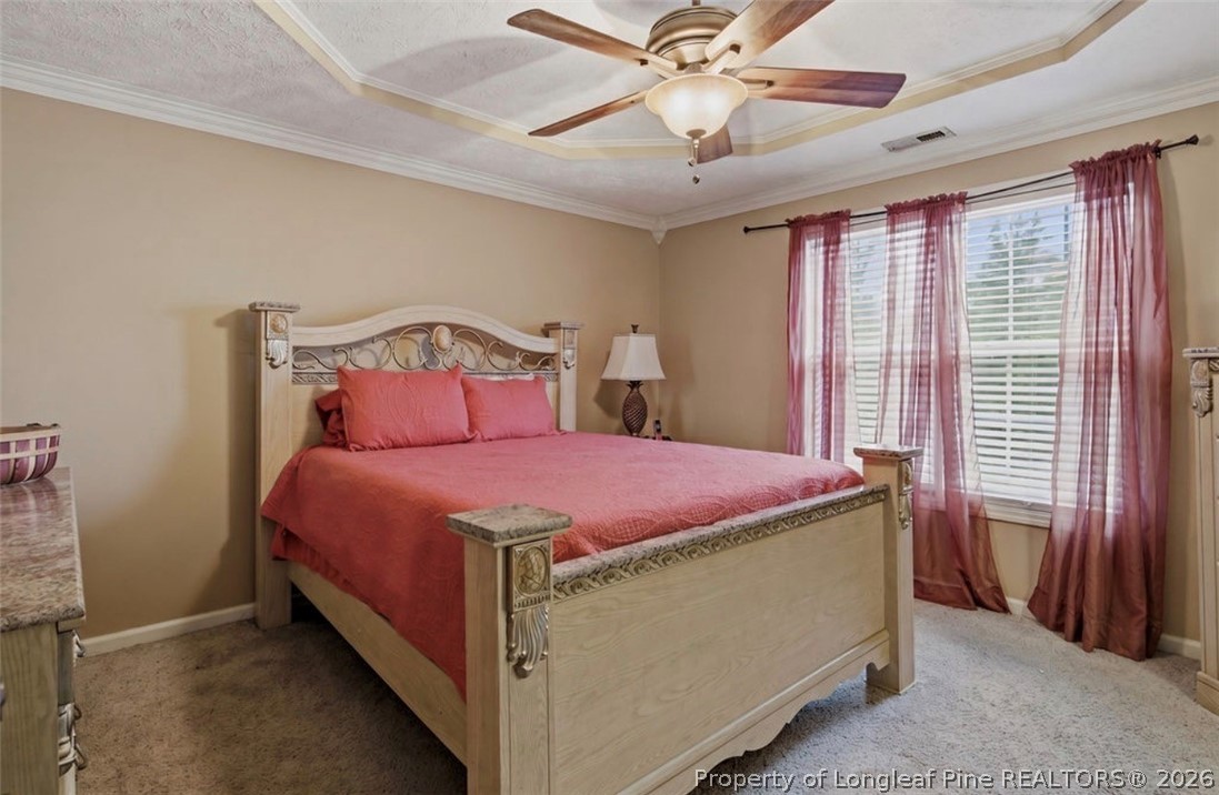 132 Spring Valley Drive Raeford, NC 28376 - Photo 21 of 40
