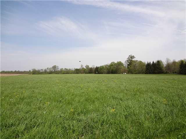 11224 Maze Road Indianapolis, IN 46259 - Photo 19 of 24 Gallery Image 19