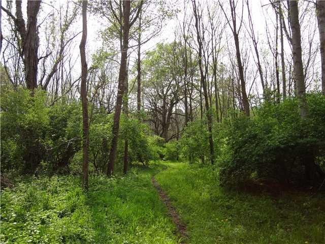 11224 Maze Road Indianapolis, IN 46259 - Photo 23 of 24 Gallery Image 23