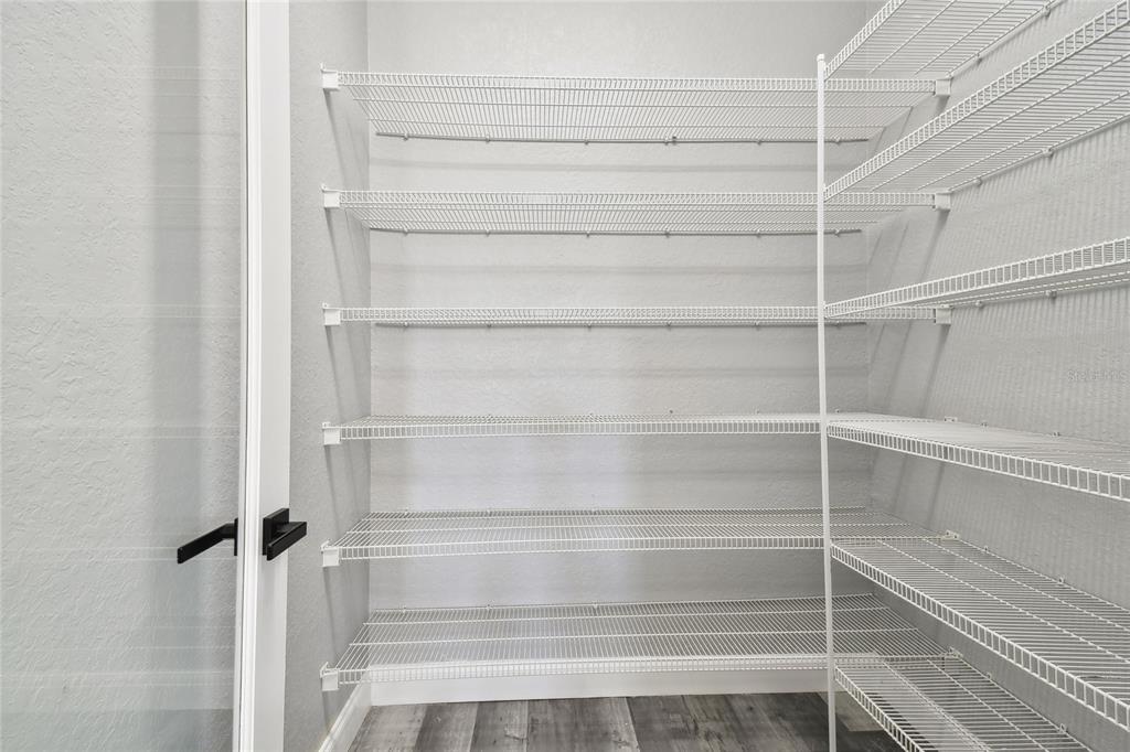 6644 Country Club Road Wesley Chapel, FL 33544 - Photo 21 of 75 a view of walk in closet with empty racks