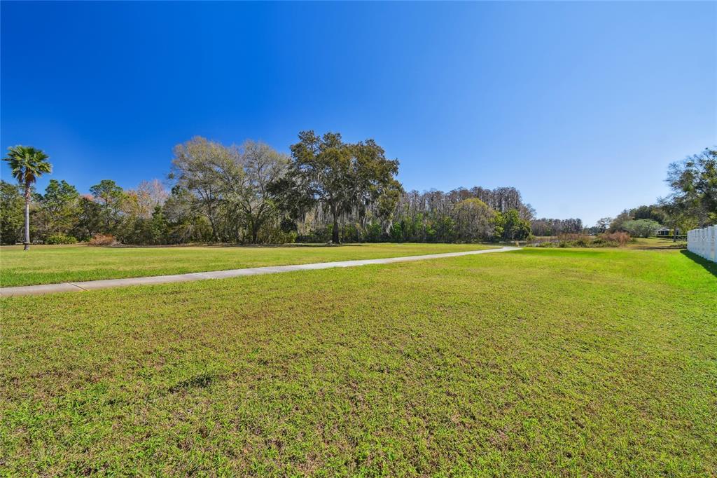 6644 Country Club Road Wesley Chapel, FL 33544 - Photo 68 of 75