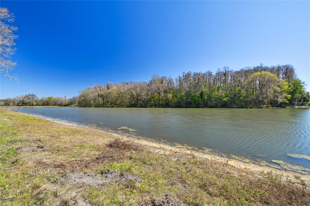 6644 Country Club Road Wesley Chapel, FL 33544 - Photo 69 of 75 a view of lake with green space