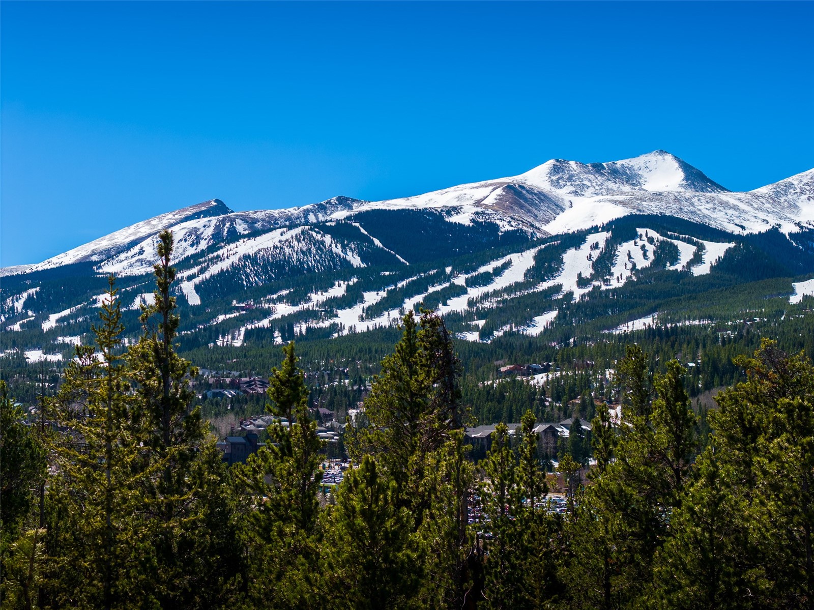 309 Royal Tiger Road Breckenridge, CO 80424 - Photo 12 of 15