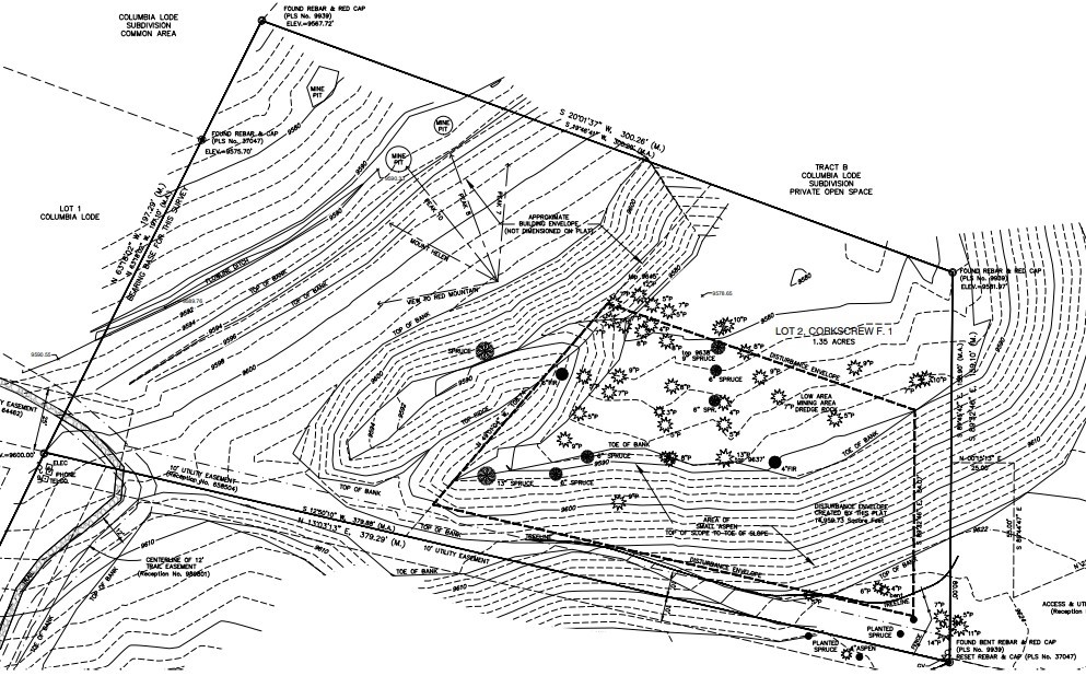 309 Royal Tiger Road Breckenridge, CO 80424 - Photo 15 of 15