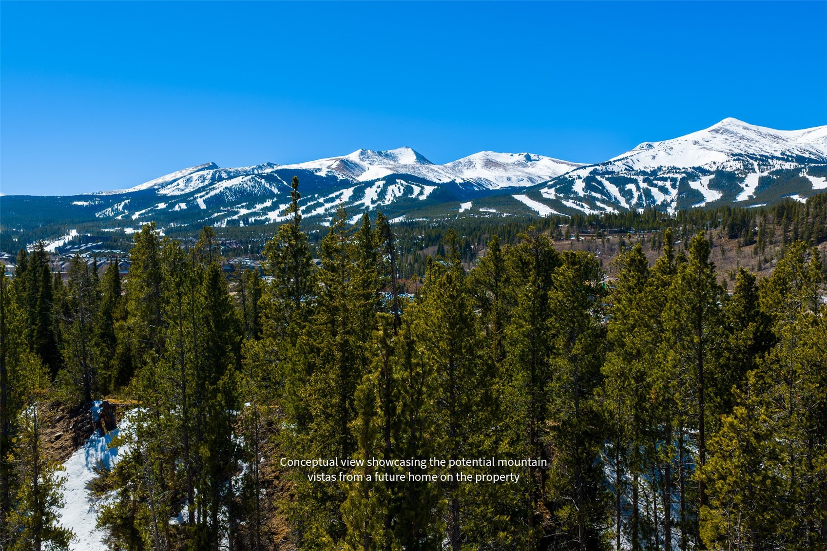 309 Royal Tiger Road Breckenridge, CO 80424 - Photo 2 of 15