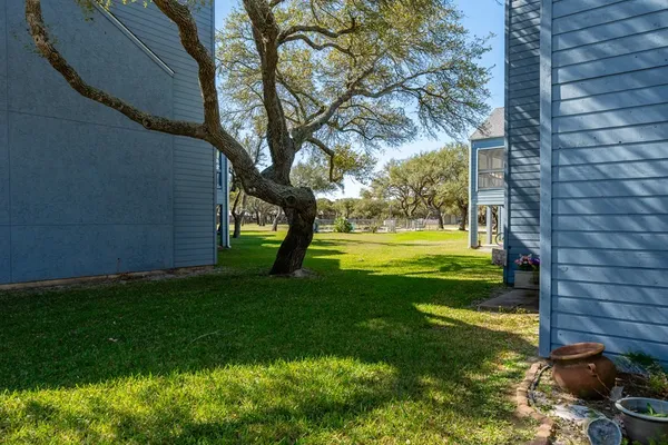 a view of a backyard with a garden