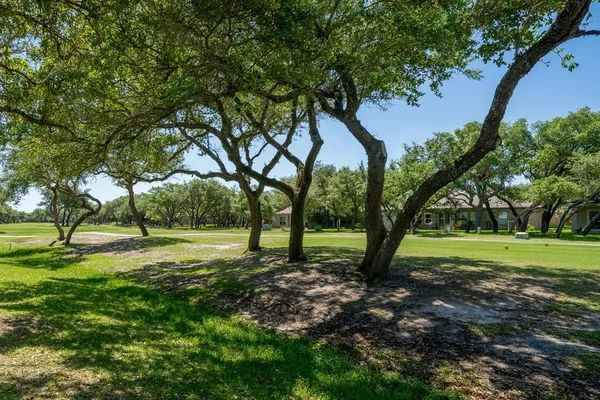 a view of a trees in a park