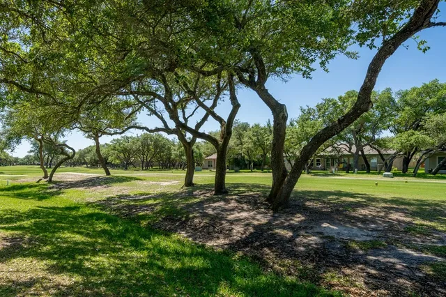 a view of a trees in a park