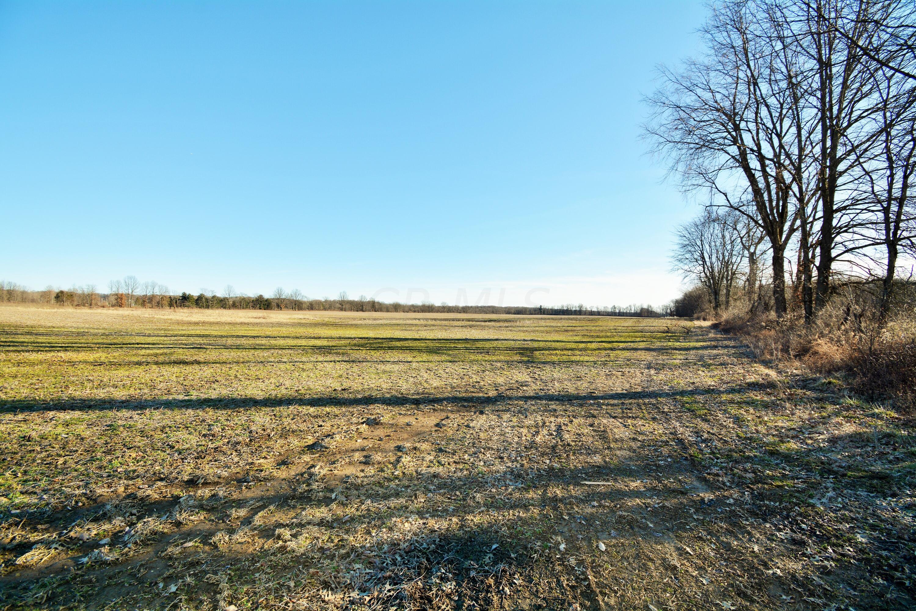 11628 Beacom Road Sunbury, OH 43074 - Photo 13 of 45 DSC_6219