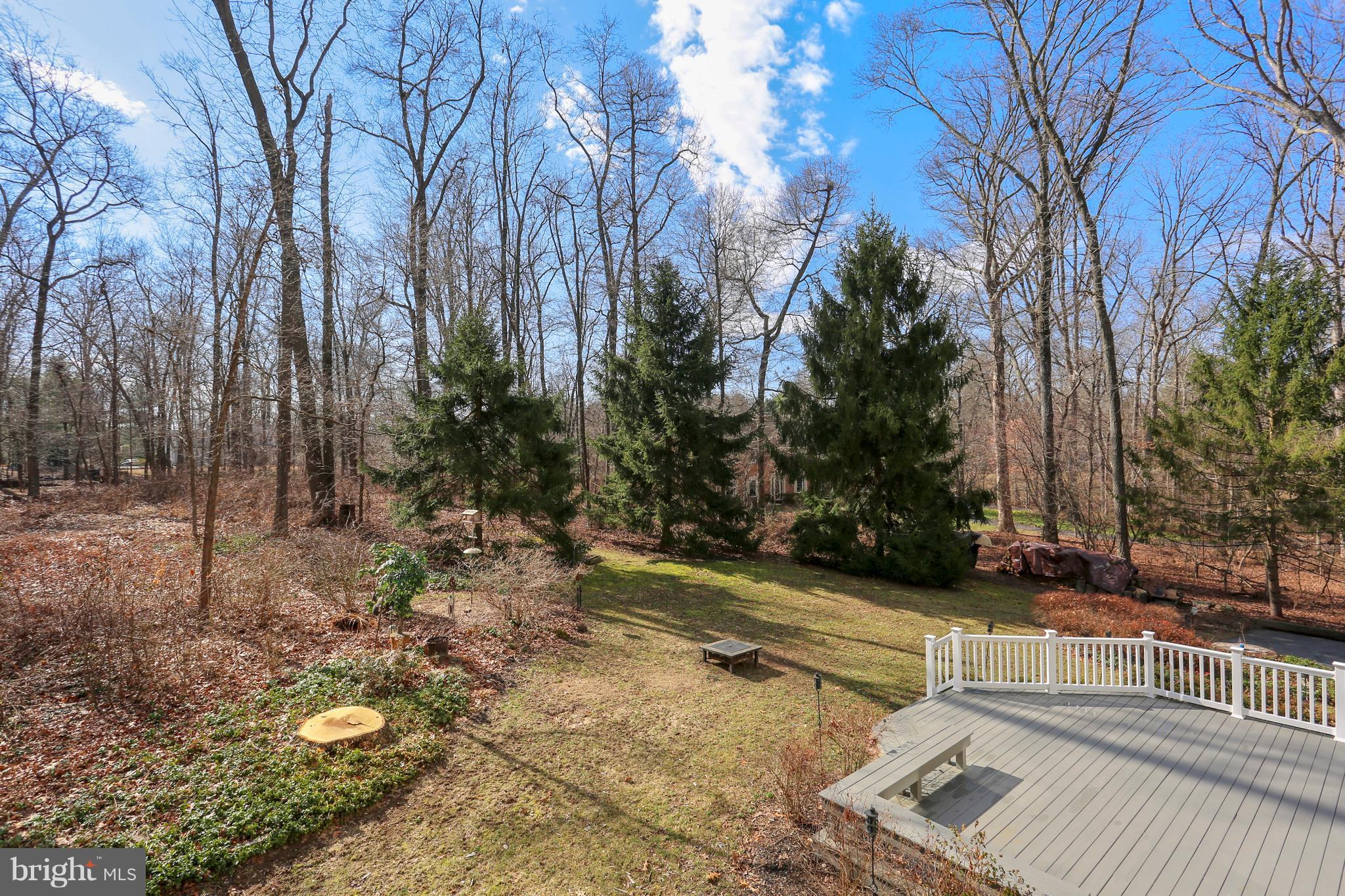 9540 Brink Road Gaithersburg, MD 20882 - Photo 18 of 30 View from Deck