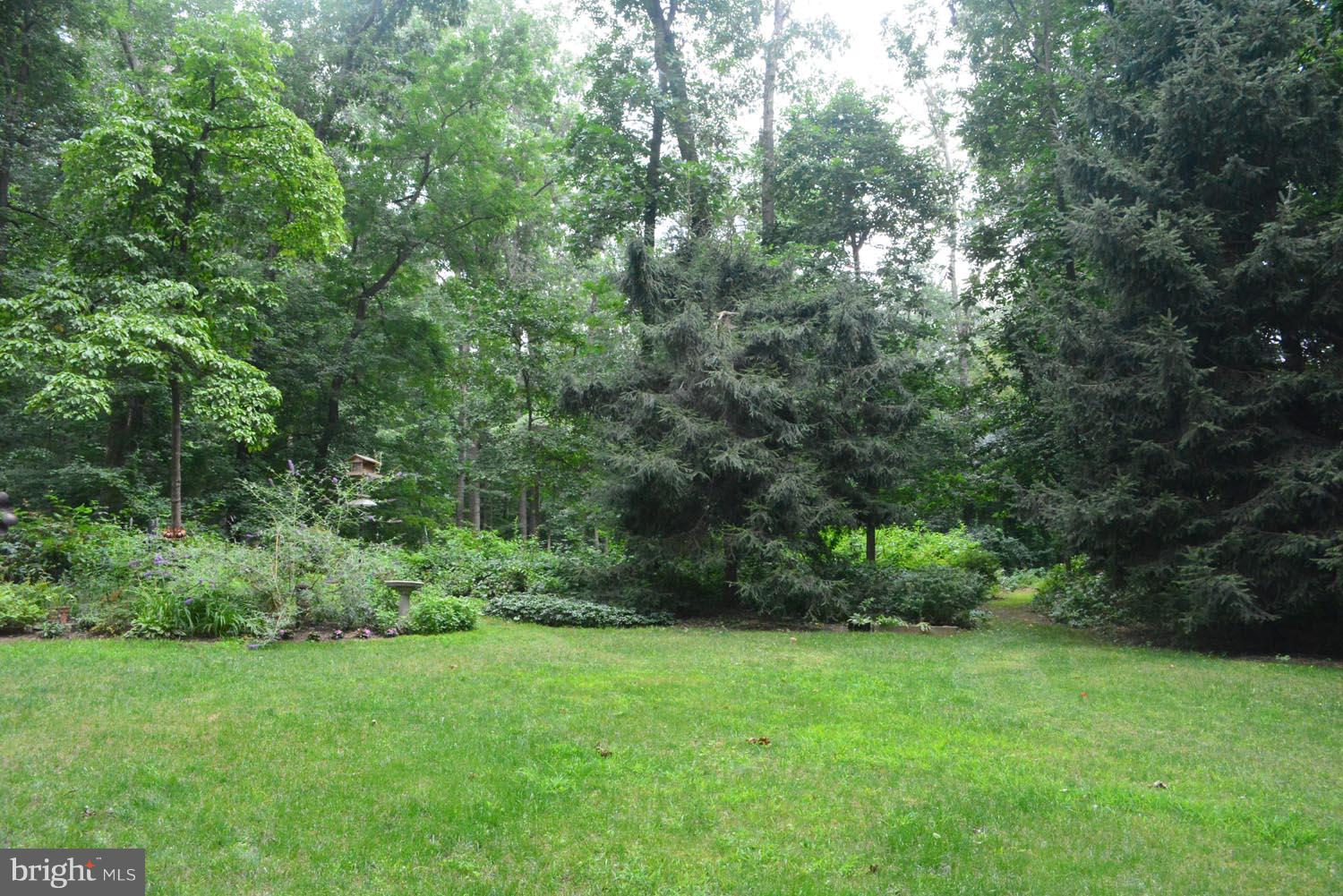 9540 Brink Road Gaithersburg, MD 20882 - Photo 30 of 30 Back Yard in Summer