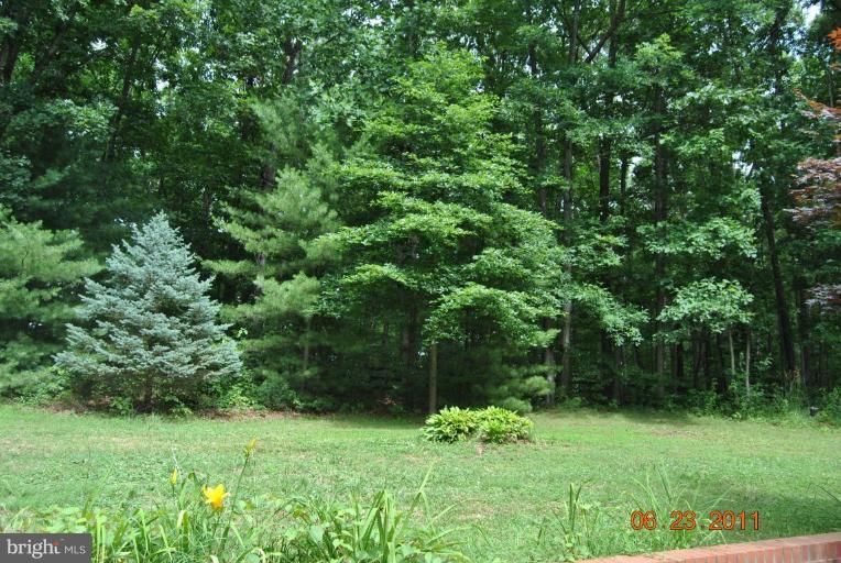 16327 Norman Road Culpeper, VA 22701 - Photo 4 of 19 Back yard