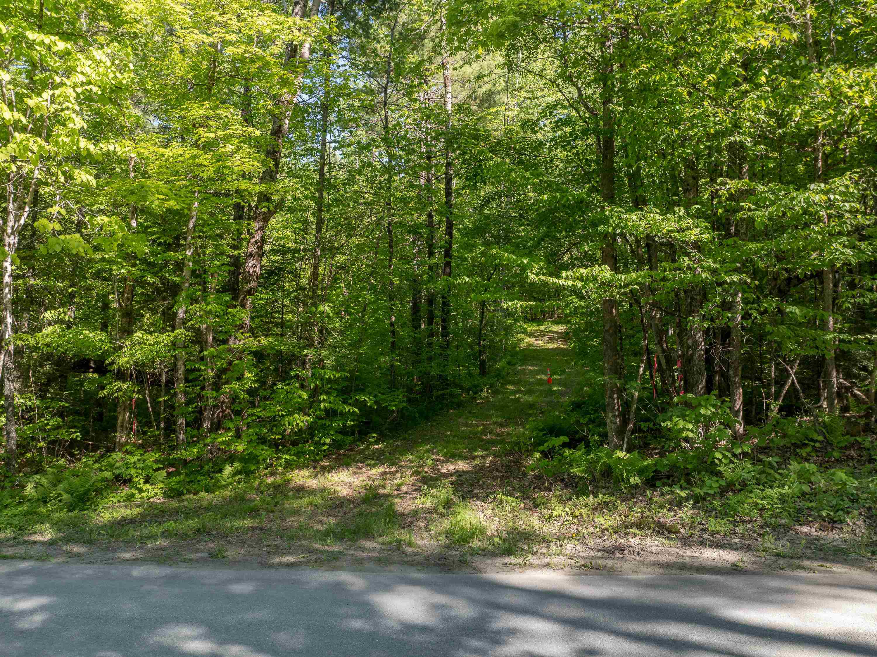 Lot 22 Rabbit Path Road Landaff, NH 03585 - Photo 4 of 19