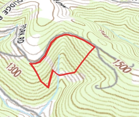 0 Cedar Creek Road La Follette, TN 37766 - Photo 5 of 8