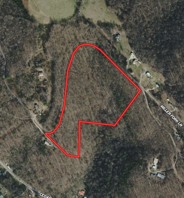 0 Cedar Creek Road La Follette, TN 37766 - Photo 8 of 8