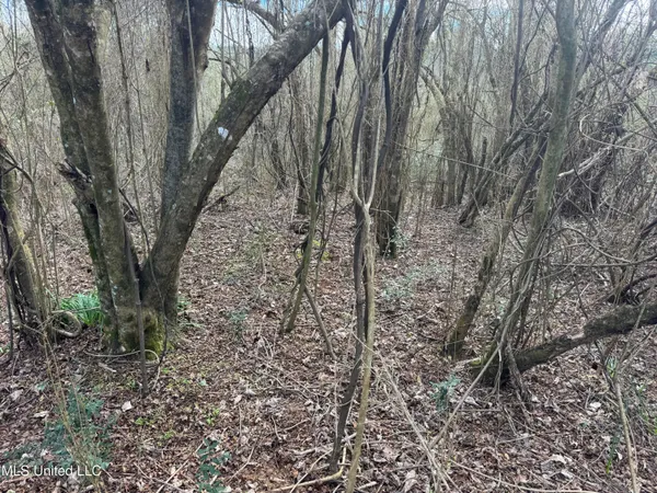 $181,000 | 0 Hawpond Church Road, Magee, MS 39111