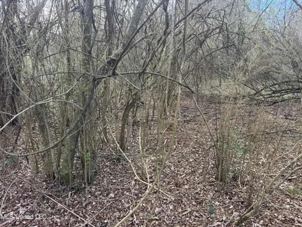 $181,000 | 0 Hawpond Church Road, Magee, MS 39111