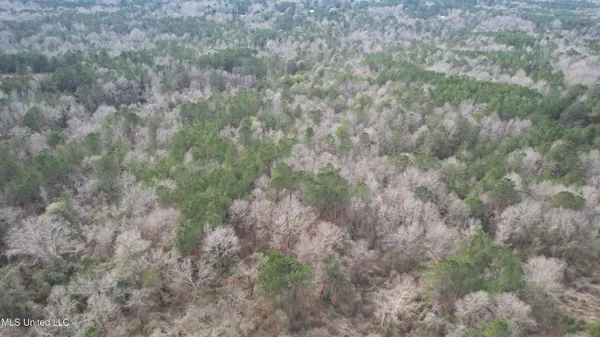 $181,000 | 0 Hawpond Church Road, Magee, MS 39111
