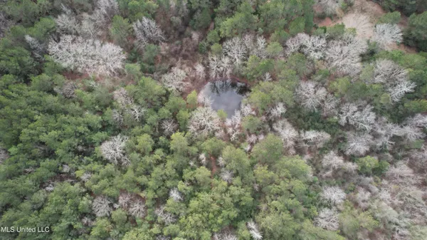 $181,000 | 0 Hawpond Church Road, Magee, MS 39111